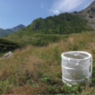 Mini-round box as standardized sampling ...