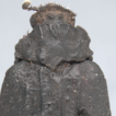 The first teratological case for the ...